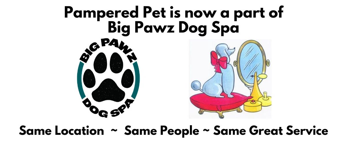 Big Pawz Dog Spa logo and Pampered Pet logo. Now under the same ownership.