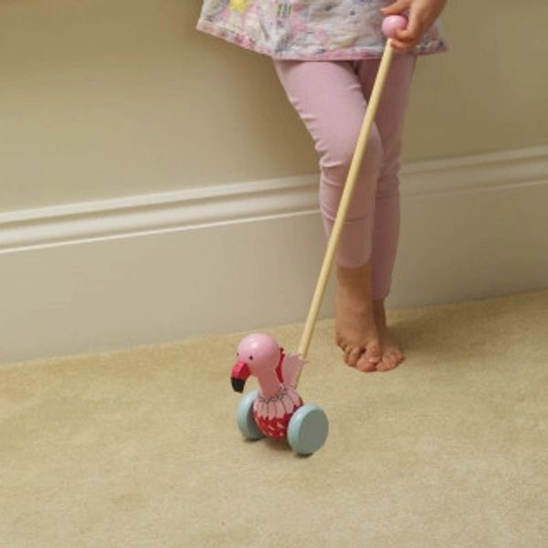 Flamingo pushalong