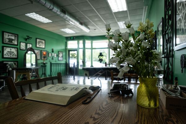 Cozy green room with a wooden table, book, and vase of flowers.