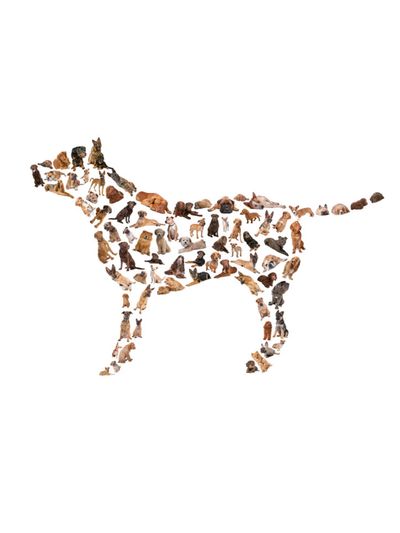 Many small dogs forming one large dog shape.