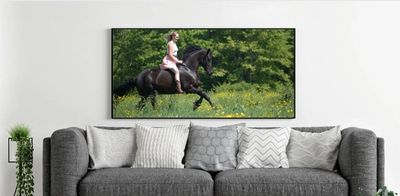 A framed photo of a girl riding black horse bareback in a pink dress across a field of buttercups.