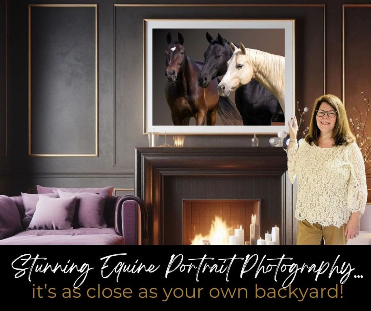 Professional equine & horse-and-rider photography for lifelong memories. Serving PA & NY. Book today