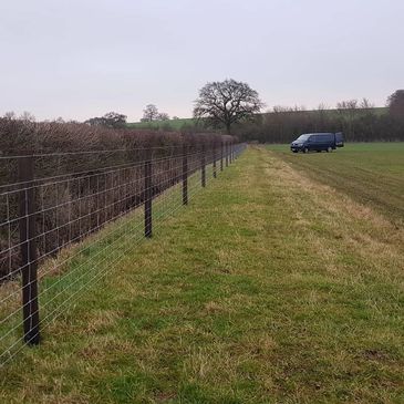 stock fencing 