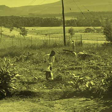 Child gardening in a rural field.