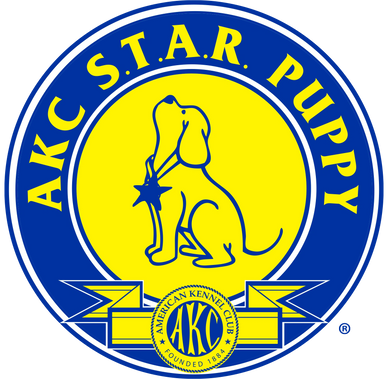 Logo of AKC S.T.A.R. Puppy with a dog and star symbol.