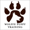 Wolffe Puppy  Training 