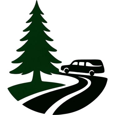 Silhouette of a car driving on a winding road near a large pine tree.