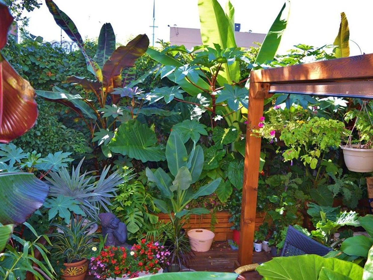Un jardin tropical au Québec ? Certainement !!!