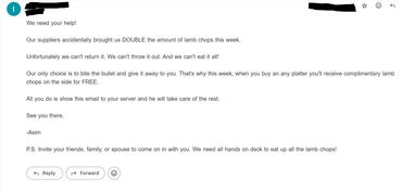 Email Campaign example 1