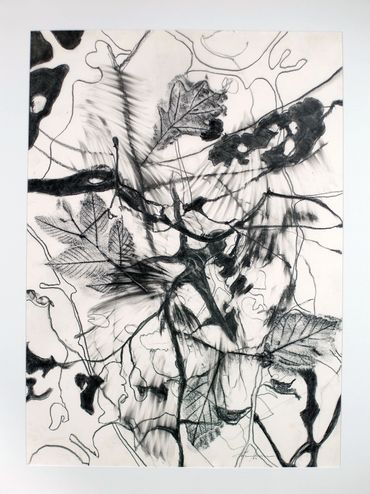 Graphite drawing on paper