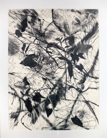 Graphite drawing on paper