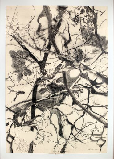 Graphite drawing on paper