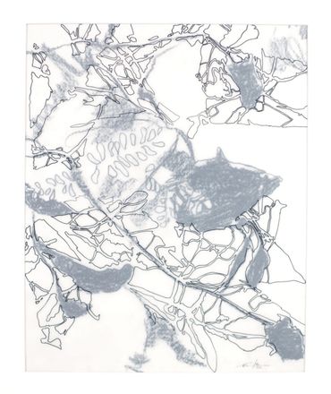 Ink and graphite drawing on layers of translucent vellum.