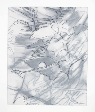 Ink and graphite drawing on layers of translucent vellum.