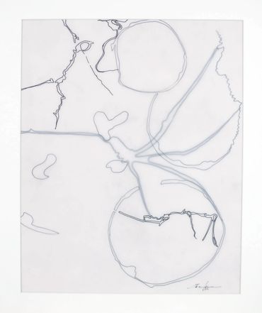 Ink drawing on layers of translucent vellum.