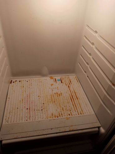 Refrigerator interior after professional cleaning.