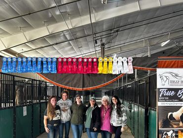 Six women standing in a horse stable under a row of award ribbons.