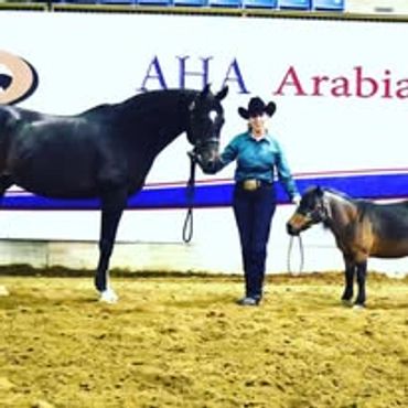 A woman stands between a large horse and a small pony in an arena.