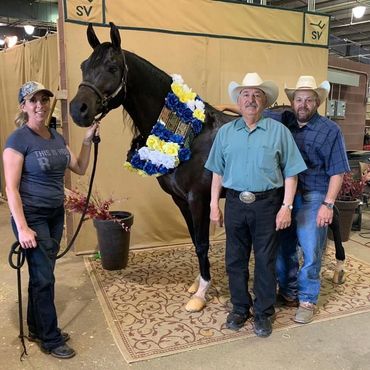 Three people pose with a black horse adorned with a blue, white, and yellow flower garland indoors.