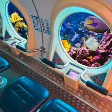 View from a submarine's underwater windows showing colorful fish and coral reefs.