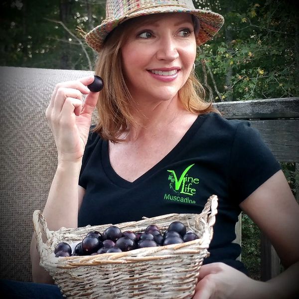 vine life muscadine fresh grapes tina murphy vine life products owner holds basket