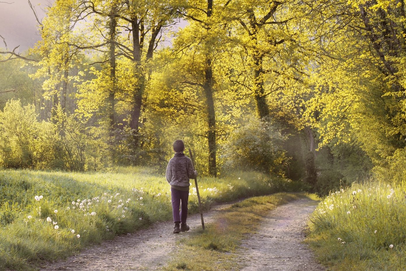 Painting of a person on a walking trail in a beautiful forest