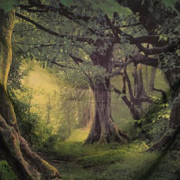 A mystical forest path bathed in soft, green light.