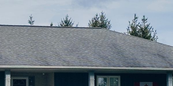 Black streaks on a roof, algea that eats shingles