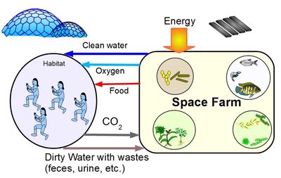 Space Farm mass flow cycle