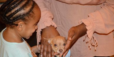 A pediatric patient is holding her puppy in her lap, while the doctor is performing a chiropractic animal adjustment to the puppy