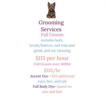 Dog grooming services with full grooming and additional dye options.
