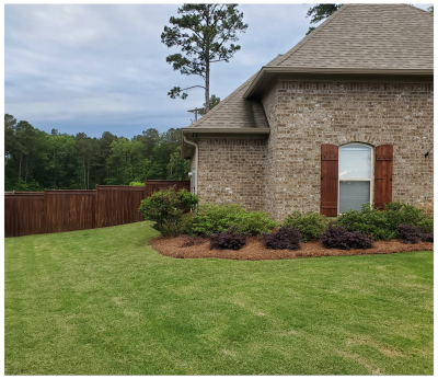 House washed in Brandon, MS.