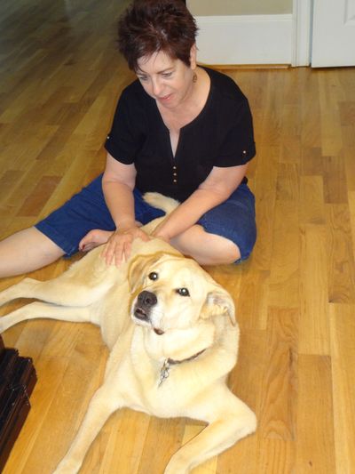 Poor Jack was having severe hip pain. He loved getting Reiki and didn't want me to stop. 