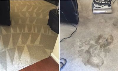 Pet Stain Removal Garden Acres CA