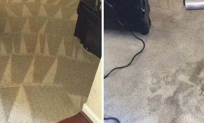 Pet Stain Removal Ripon CA