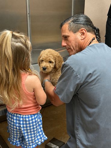 A man and a child are holding a small fluffy puppy indoors.