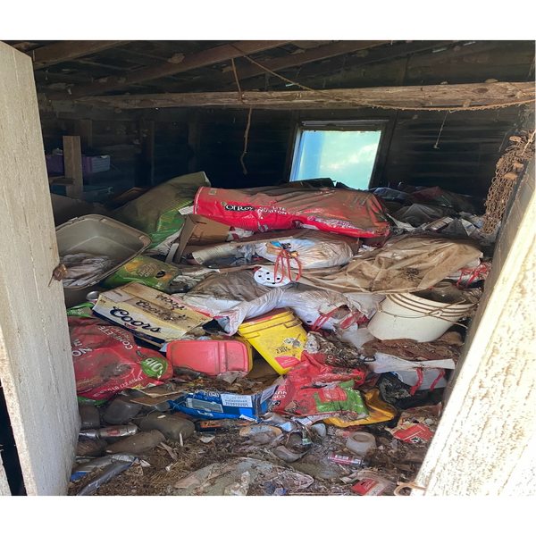 Junk removal/debris removal service