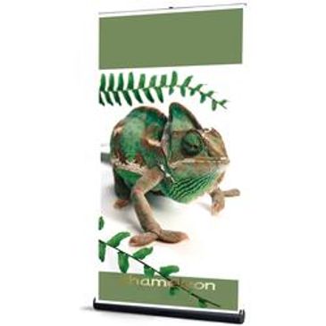 printed banner, digitally printed banner, tradeshow banner, banner stand, banner and stand,