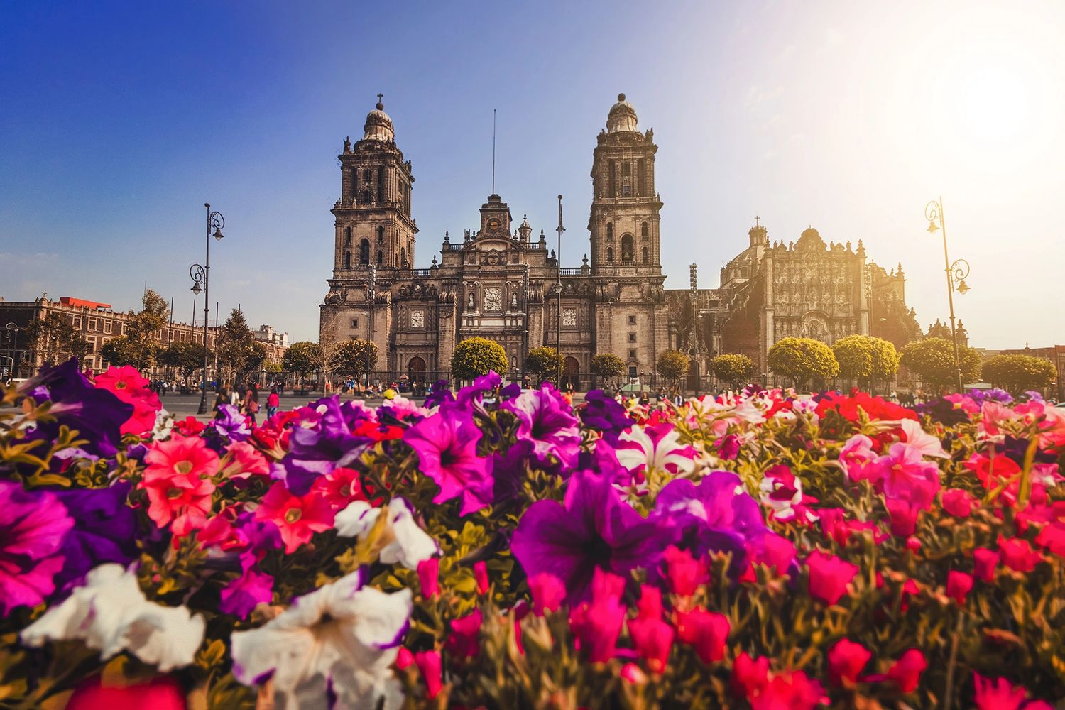 Mexico a Pie, Walking Tours, Mexico Walking Tours, Mexico Free Tour, Mexico things to do
