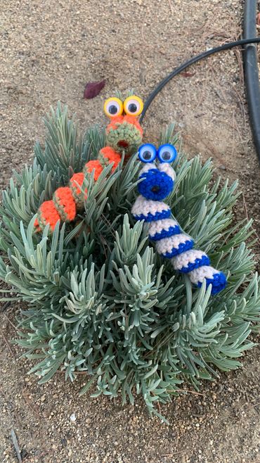 Lavender worms.The good kind!