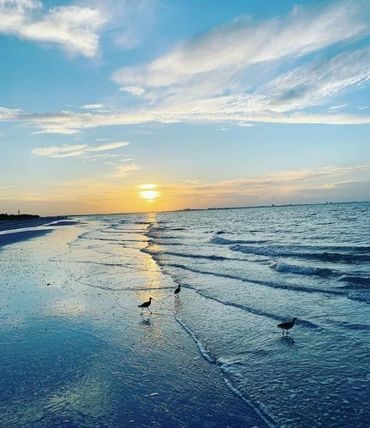 Sanibel Beach: get there with Sanibel Limo & Taxi