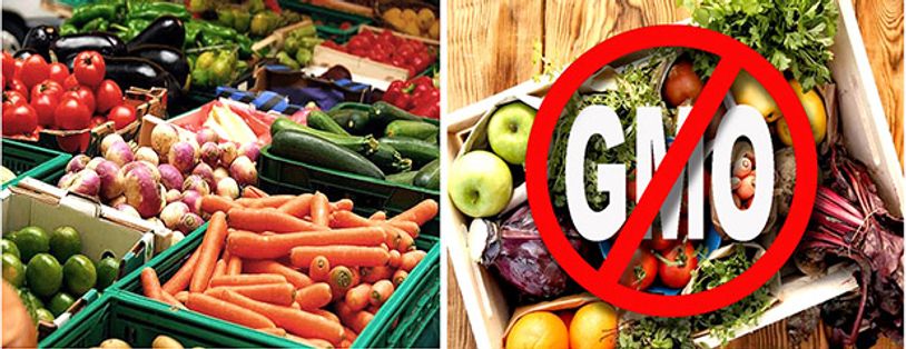 Our produce is organically grown and rich in vitamins and minerals and free of GMO's.