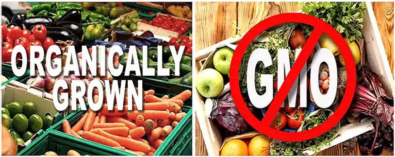 PRODUCE WITH A PURPOSE