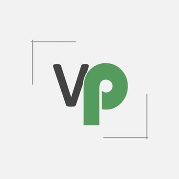visionpay digital payment platform