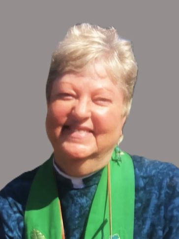 Carole Parmeter Dyer  professional looking confidently at the camera.