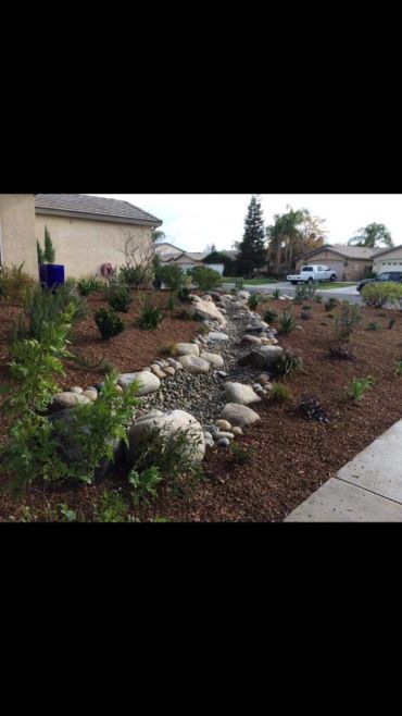 Jardín con piedras y plantas en un barrio residencial.