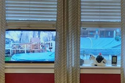 Side by side comparison between a Quist window (left) and glass window (right)