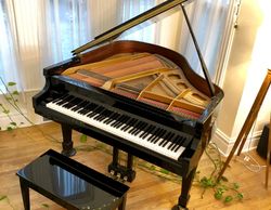 Baby grand piano, acoustic piano, Hammond A101 organ, Leslie cabinet, MIDI controllers