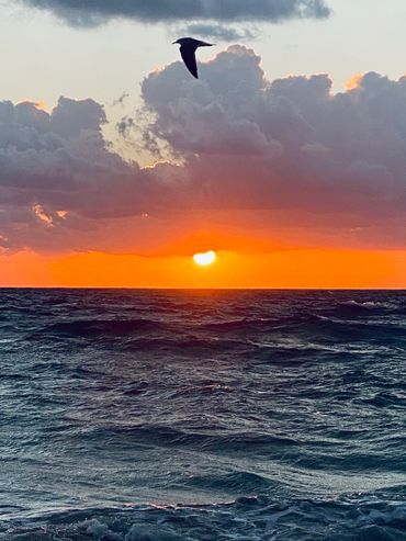 Beautiful sunrise at our home port! North Beach, Miami Beach, FL