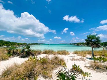 Tendering to clients in Southwest Allan's Cay, Exumas, Bahamas.